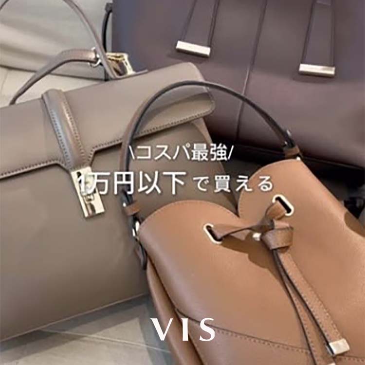 VISirXj̃Vbvj[Xu_RXpŋ^ VIS  1~ȉŔobOv