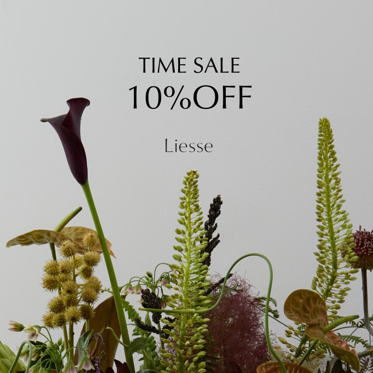 LiesseiGXj̃Vbvj[XuTIME SALE 10%OFFv