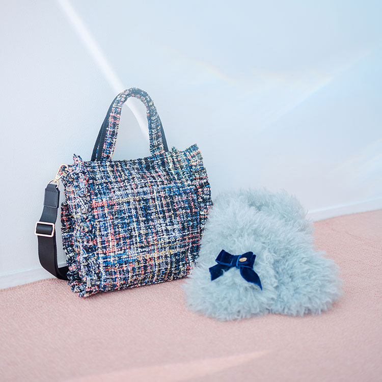 TOCCAigbJj̃Vbvj[Xu~̂Љv