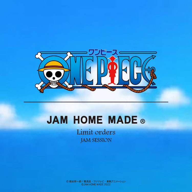 ONE PIECE/ワンピース 公式 コラボ スカル ピアス 【ゾロ】 シルバー