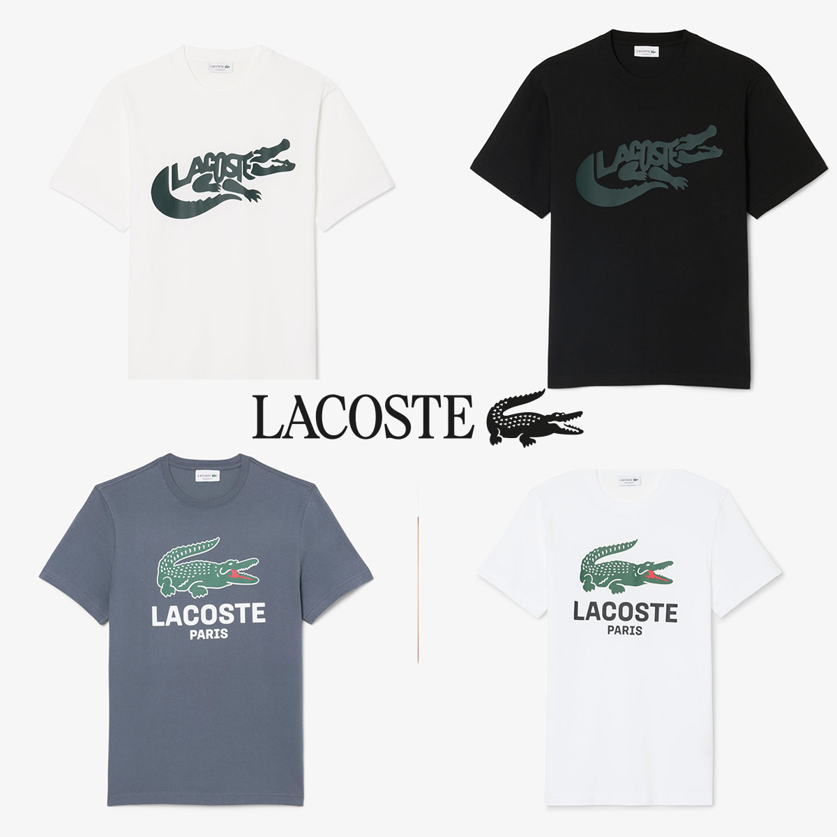 LACOSTE�i���R�X�e�j�̃V���b�v�j���[�X�u�sLACOSTE NEW ARRIVAL�t�A�C�R�j�b�N�ȃr�b�O���j�������I��T�V���c���o��I�v