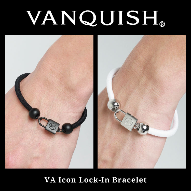 VANQUISHi@LbVj̃Vbvj[XuyVANQUISHzVoIIv