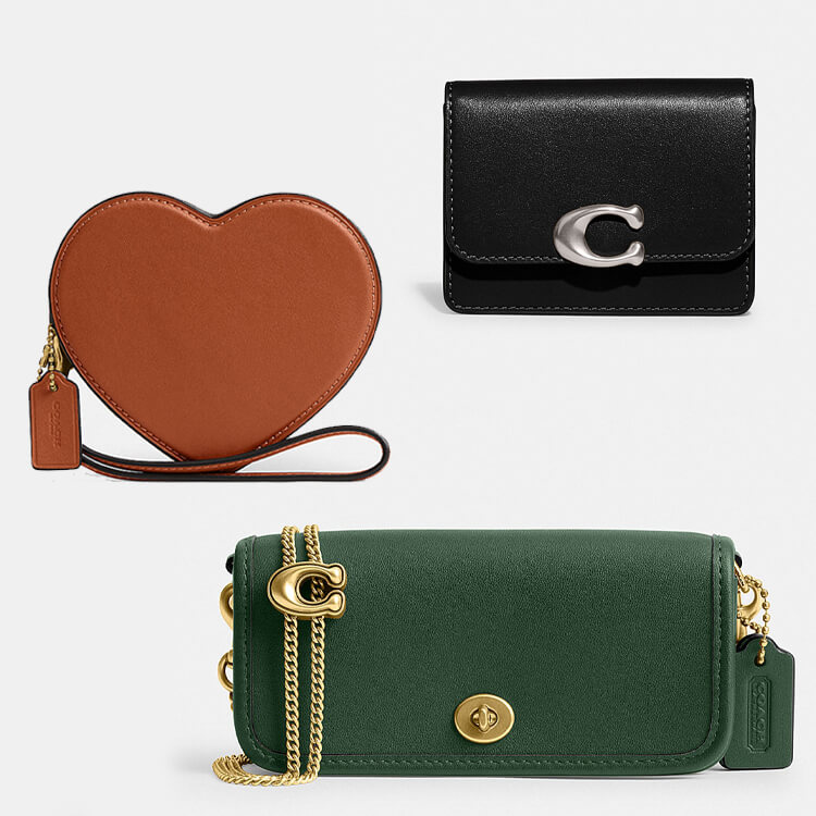 ダイナソー バッグ チャーム（キーホルダー）｜COACH（コーチ