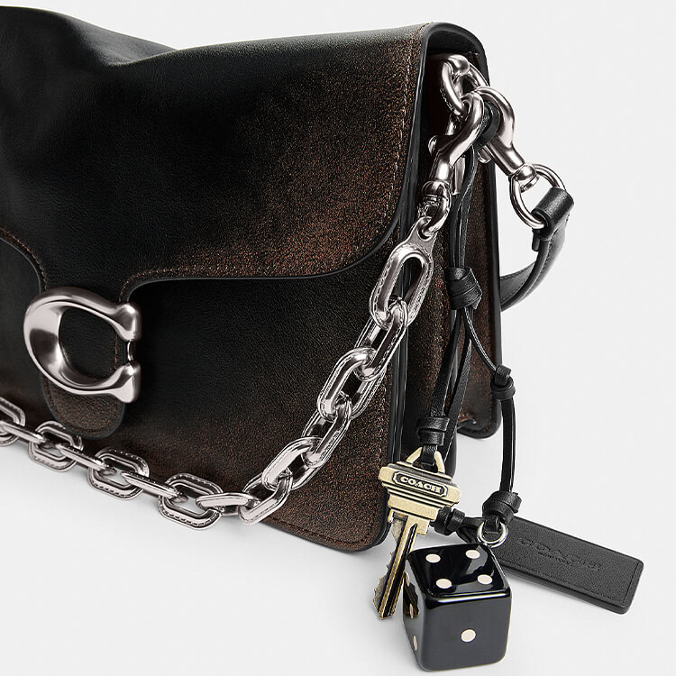 COACHiR[`j̃Vbvj[XuEl̎dށABꖳ́hLoved Leatherh^COACHv