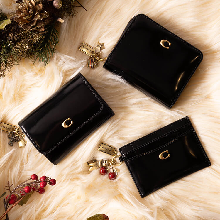 エッセンシャル ビジネス カード ケース（名刺入れ）｜COACH（コーチ