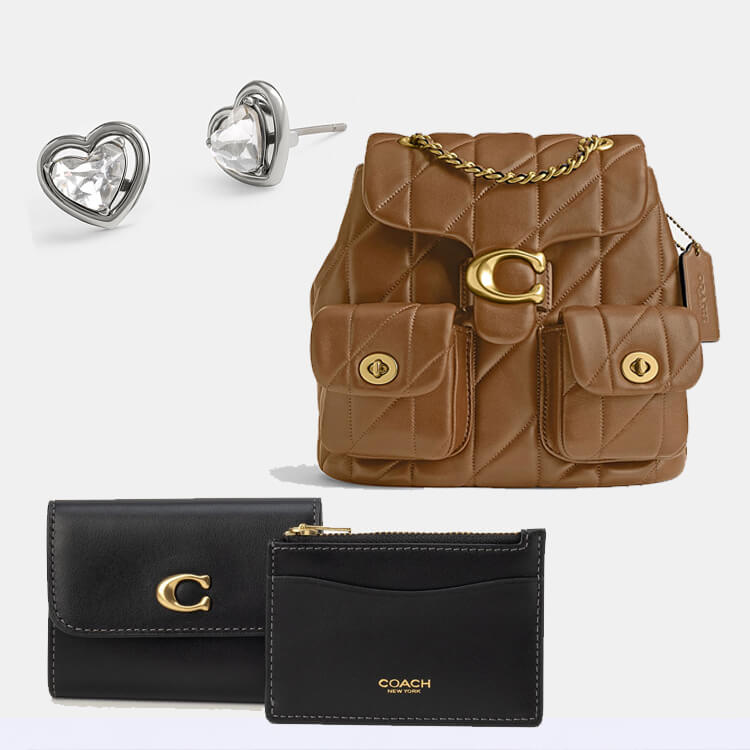 COACH メトロポリタントート ブラウン ブラウン（茶色）系 Coach Metropolitan(コーチ メトロポリタン