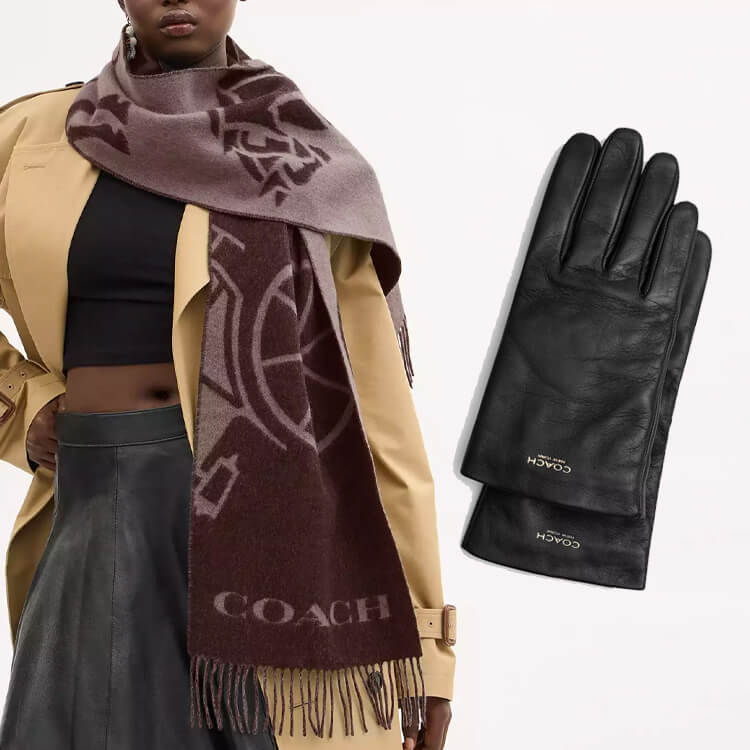 COACHiR[`j̃Vbvj[Xu}t[܁^COACHv