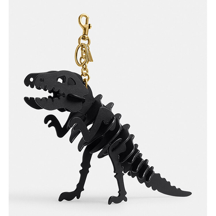 COACH�i�R�[�`�j�̃V���b�v�j���[�X�u���݊������������L�V�[�̃o�b�O�`���[���^COACH�v