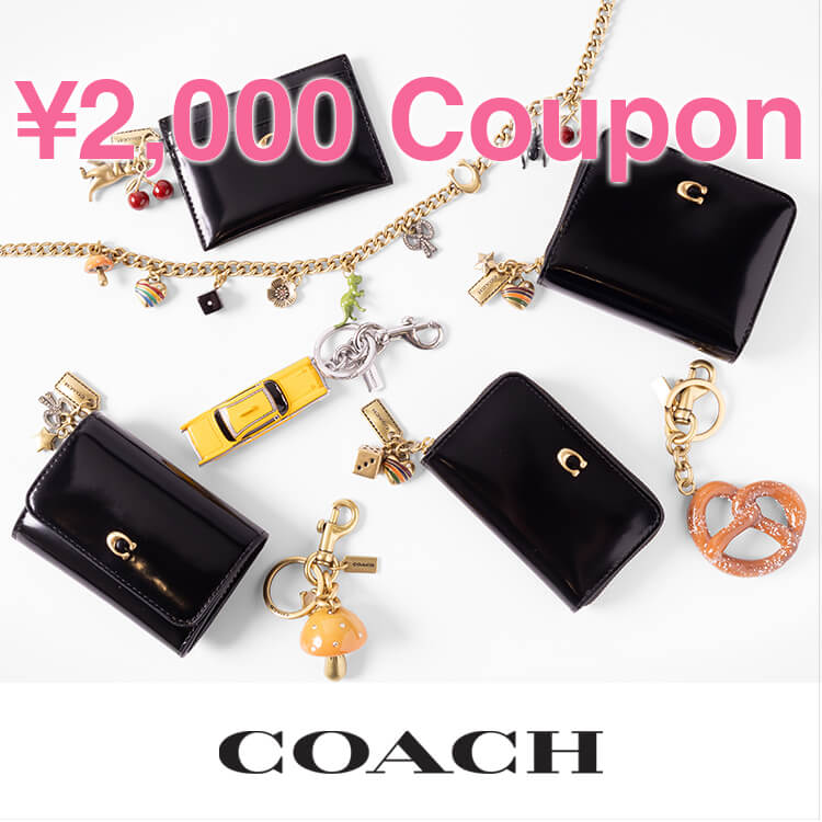 エッセンシャル スモール ジップ アラウンド カード ケース