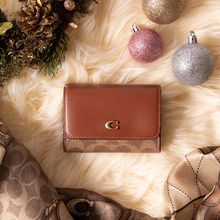 スモール アップル バッグ チャーム（キーホルダー）｜COACH（コーチ