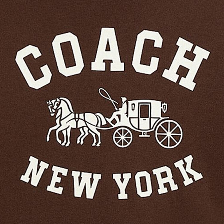 COACH�i�R�[�`�j�̃V���b�v�j���[�X�u�K�^�֋삯��ߔN�� �g�n�h�̃��`�[�t�A�C�e���^COACH�v