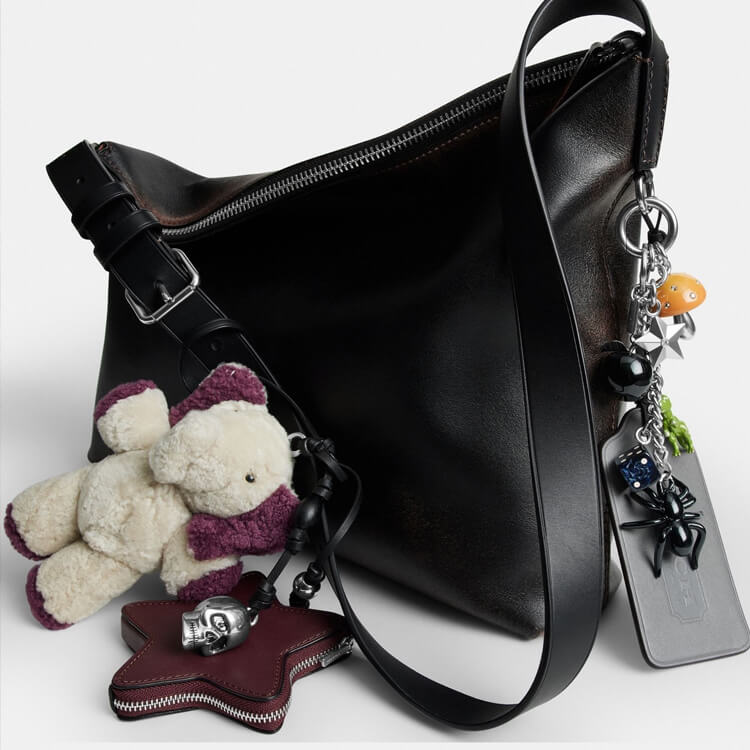 COACH�i�R�[�`�j�̃V���b�v�j���[�X�u�`���[���t�� �o�b�O�^COACH�v