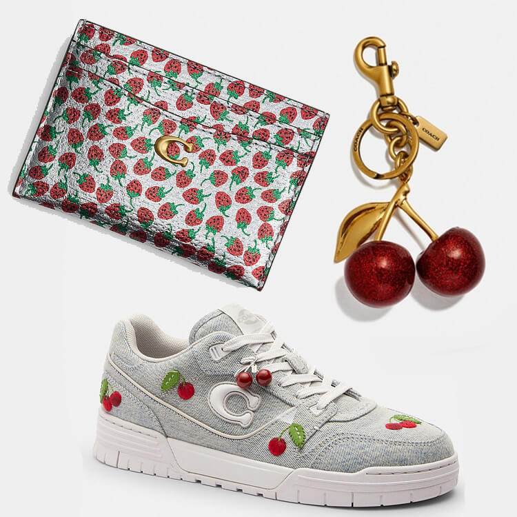 COACH�i�R�[�`�j�̃V���b�v�j���[�X�u�W���[�V�[�ȃt���[�c ���`�[�t�̃o�b�O�������^COACH�v