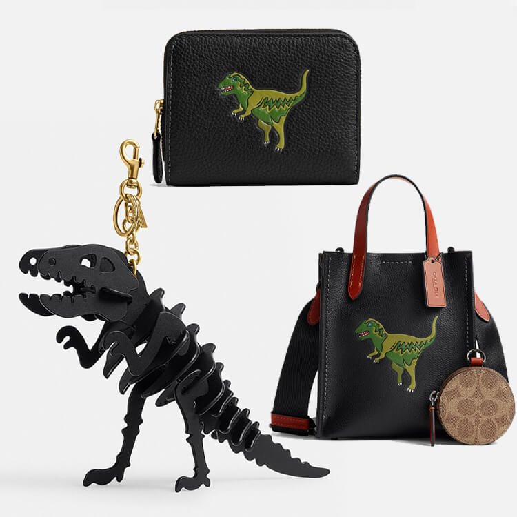 COACH�i�R�[�`�j�̃V���b�v�j���[�X�u�����ꑱ���郌�L�V�[�R���N�V�����^COACH�v