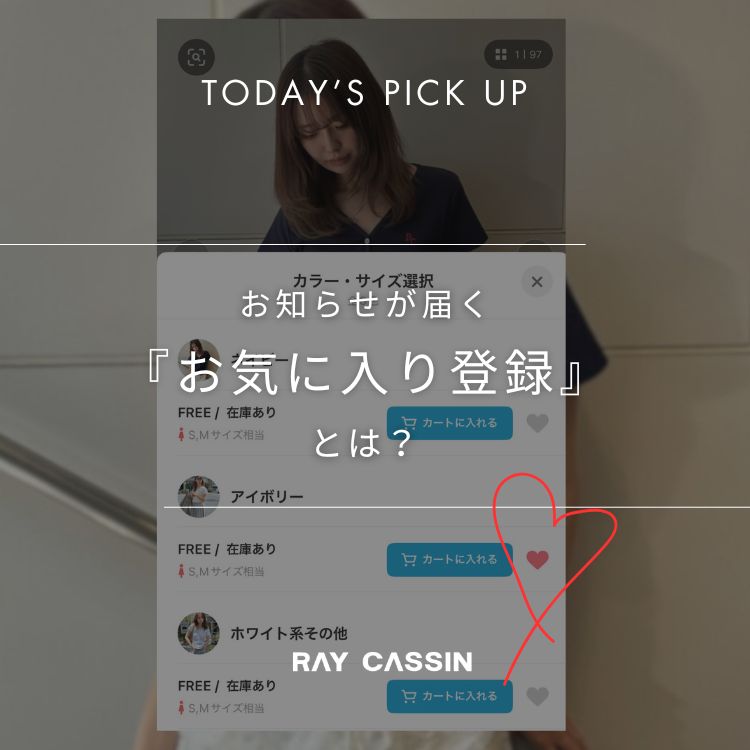 RAY CASSINiCJYj̃Vbvj[XuyRAYCASSINzɕ֗ȁwCɓo^xpv