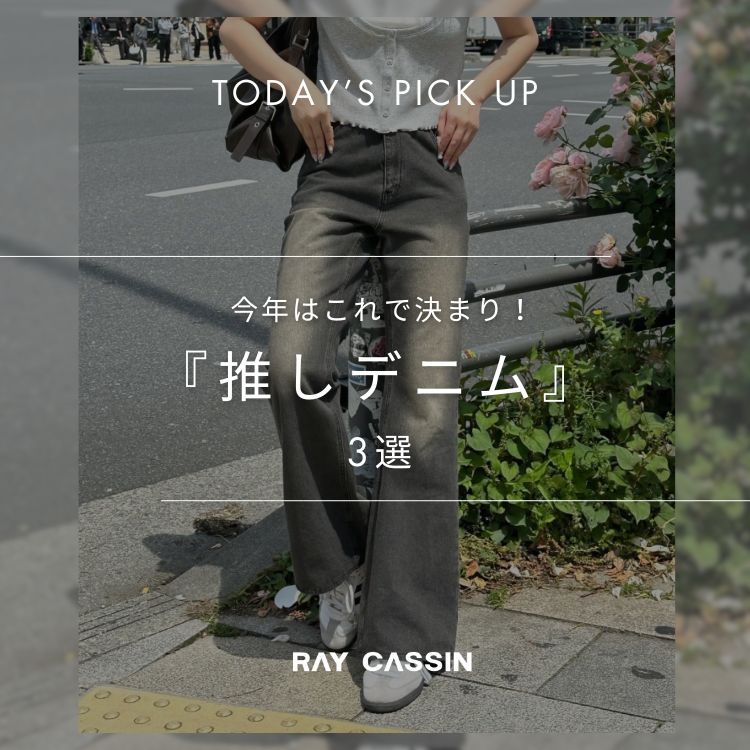 RAY CASSINiCJYj̃Vbvj[XuyRAYCASSINzN͂Ō܂Ifj3Iv