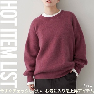IENA�i�C�G�i�j�̃V���b�v�j���[�X�u�yIENA�z�������`�F�b�N�������A���C�ɓ���}�㏸�A�C�e���v