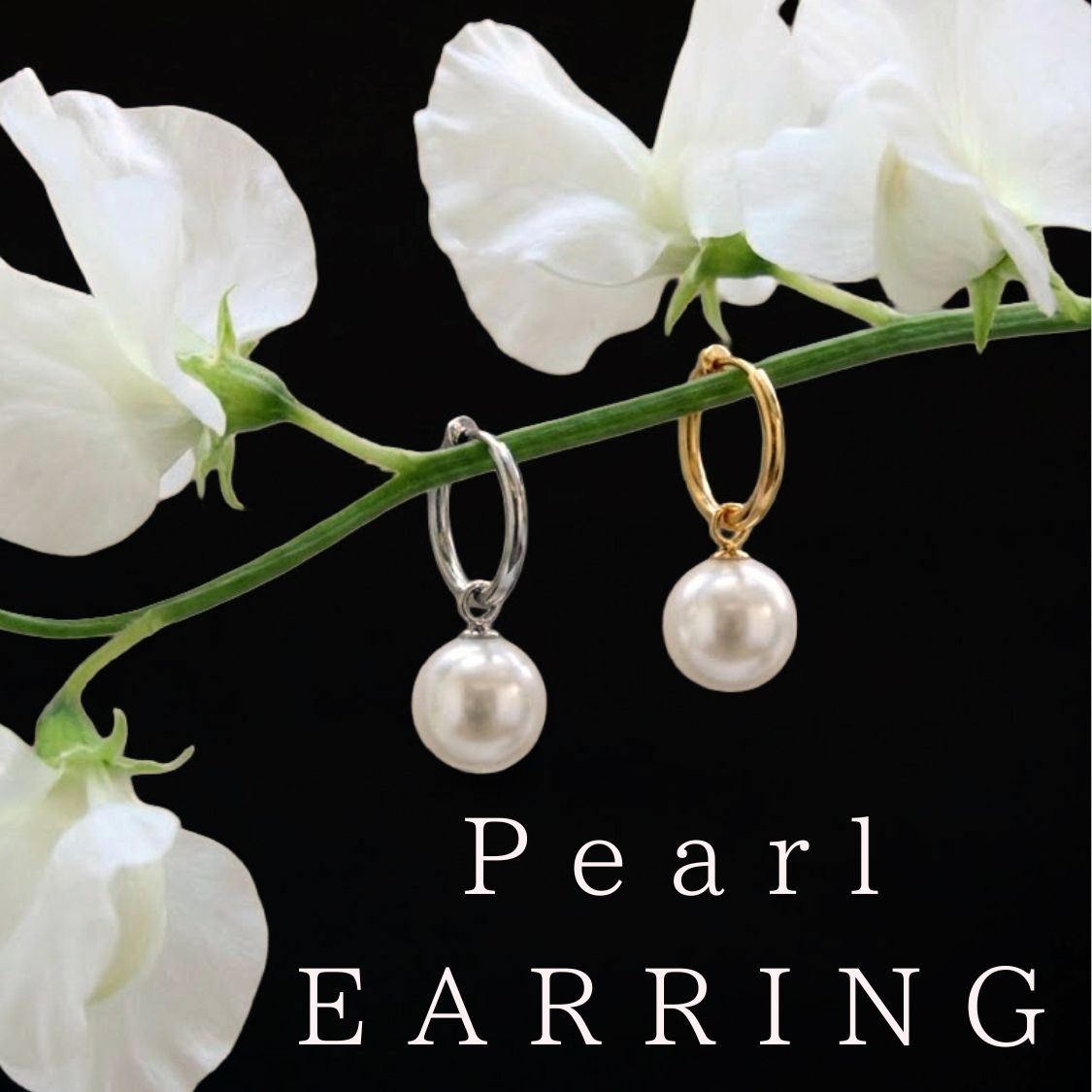 JEWEL ADDICT�i�W���G���A�f�B�N�g�j�̃V���b�v�j���[�X�u�Z�����j�[�ɑI�΂��A�p�[���C�������O�v