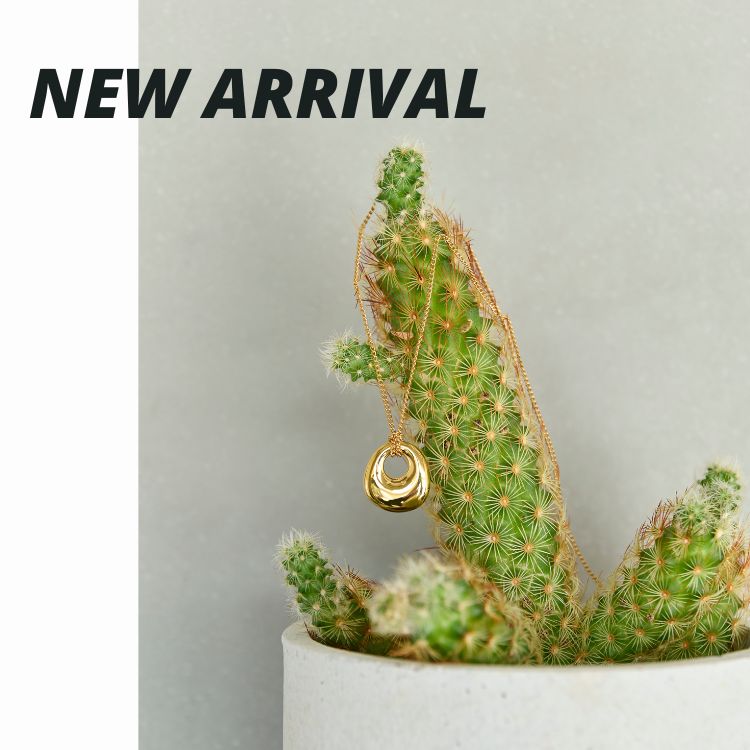 JEWEL ADDICT�i�W���G���A�f�B�N�g�j�̃V���b�v�j���[�X�u�yNEW�z�t�ăR�[�f�Ƀv���X�����v