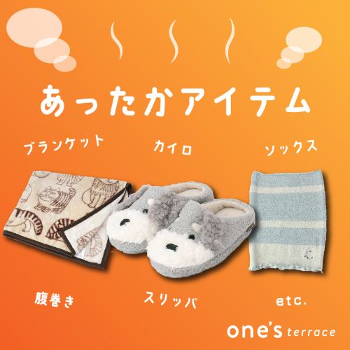 WORLD ONLINE STORE SELECTi[hICXgAZNgj̃Vbvj[Xuyone'sterracezACeWIv