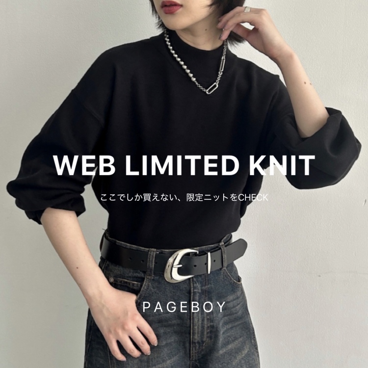 PAGEBOY�i�y�[�W�{�[�C�j�̃V���b�v�j���[�X�u�y�����ł��������Ȃ�!!�zWEB LIMITED KNIT���v
