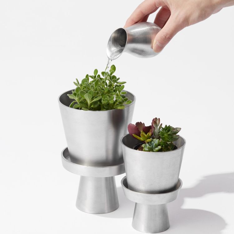 GEORGE'S�i�W���[�W�Y�j�̃V���b�v�j���[�X�u�O���[�������낤�v