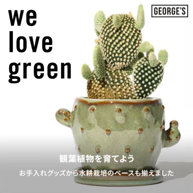 GEORGE'S�i�W���[�W�Y�j�̃V���b�v�j���[�X�u�ϗt�A������Ă悤��v