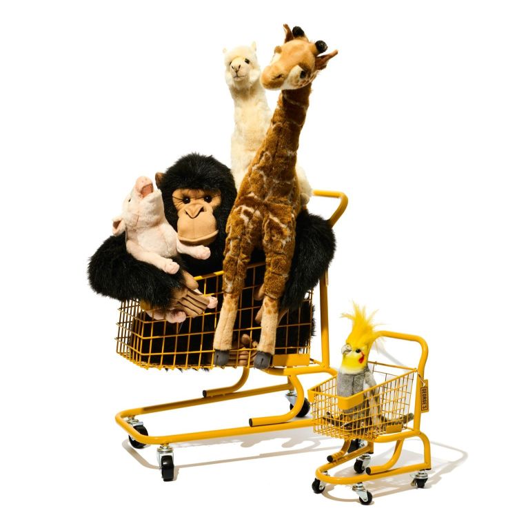 GEORGE'S｜ジョージズのトピックス「GEORGE'Sのアイコンでもある