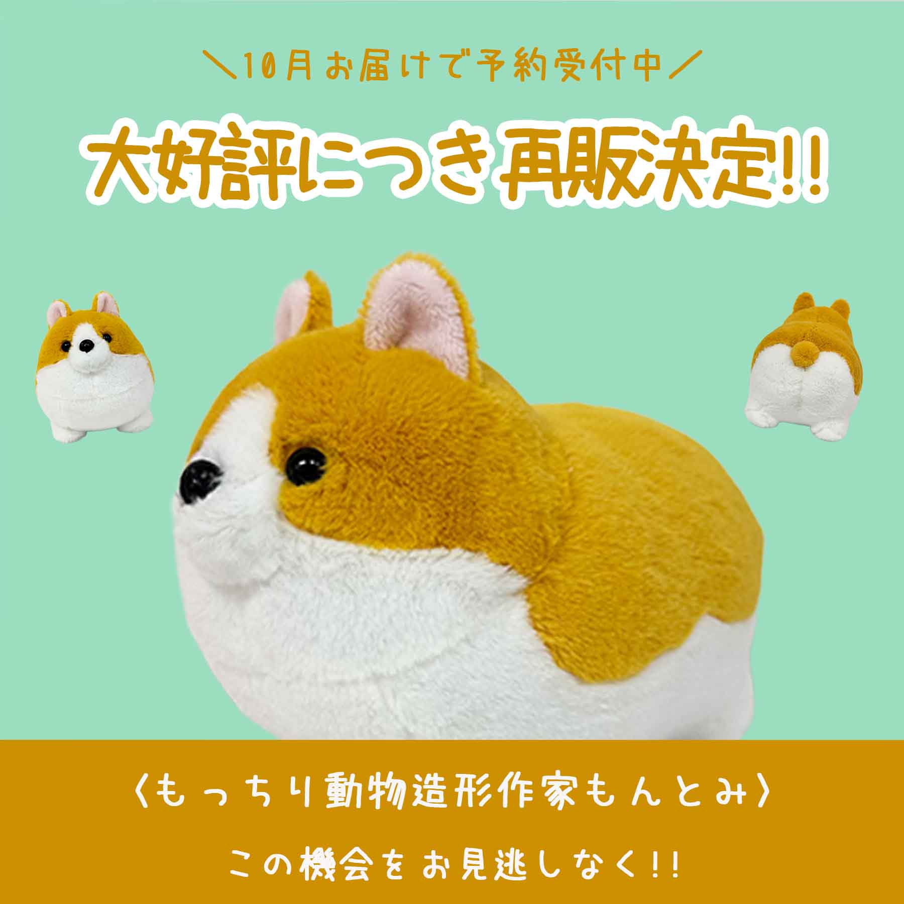 予約商品】hopely｜ホープリーのトピックス「大人気！コーギーの再予約