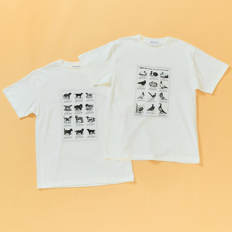Bshop�i�r�V���b�v�j�̃V���b�v�j���[�X�u�yRECOMMEND�zT-SHIRT�v