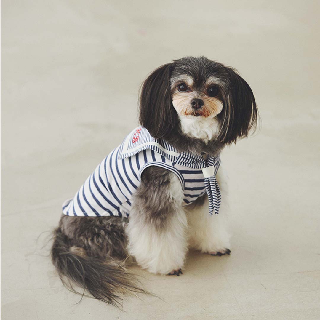 KID BLUE�i�L�b�h�u���[�j�̃V���b�v�j���[�X�u���₩�ȉẴh�b�O�E�F�A�����Љ�v