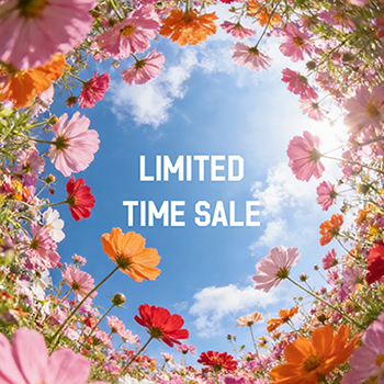 rehacer�i���A�Z���j�̃V���b�v�j���[�X�urehacer-���A�Z��- TIME SALE �v