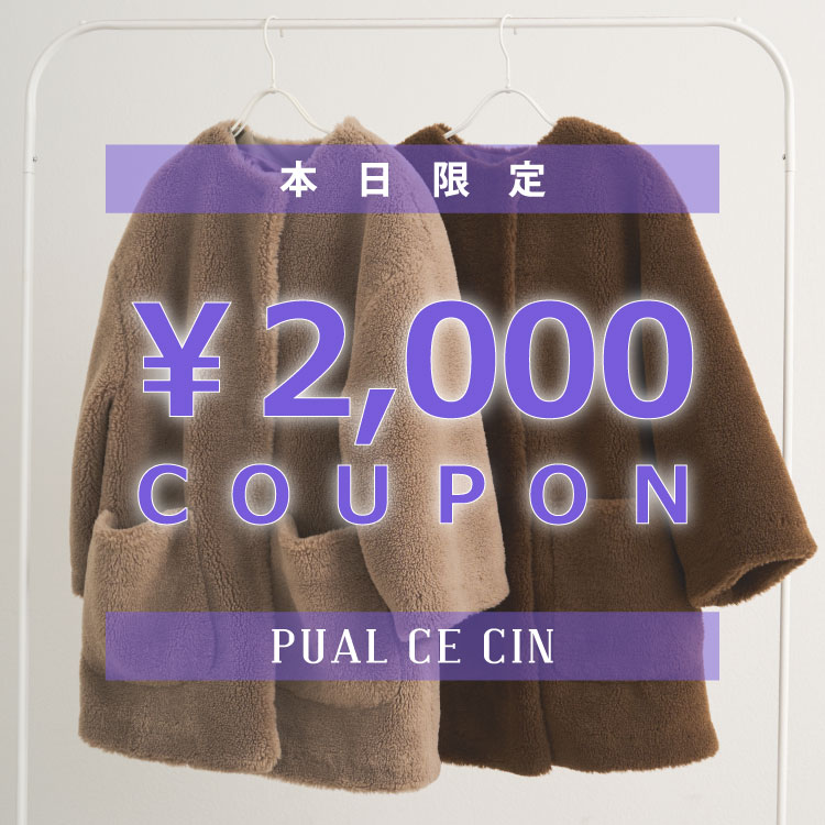 PUAL CE CINisAZVj̃Vbvj[XuyPUAL CE CINz{2000~N[|v