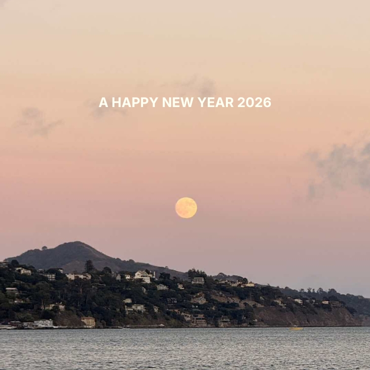 CANAL JEAN�i�L���i���W�[���j�̃V���b�v�j���[�X�u�yCANAL JEAN�zA HAPPY NEW YEAR 2026�v