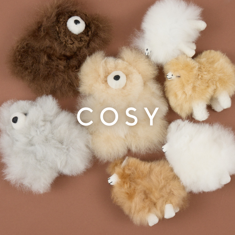 collex�i�R���b�N�X�j�̃V���b�v�j���[�X�u�yCOSY�z�o�b�O�`���[�����ׁv