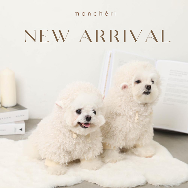 moredays store�i���A�f�C�Y�E�X�g�A�j�̃V���b�v�j���[�X�u�� moncheri ��NEW ARRIVAL �H�̐V������Љ�v