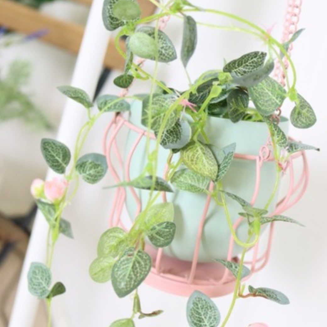 Million Carats�i�~���I���J���b�c�j�̃V���b�v�j���[�X�u�݂邷�����ŋ�Ԃ����̓I�ɕς��A�����̕����������ւ炵���Ȃ�C���e���A�|�b�g�v