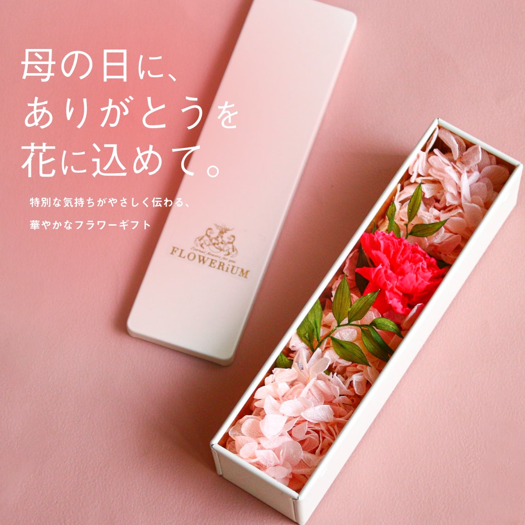 Million Carats�i�~���I���J���b�c�j�̃V���b�v�j���[�X�u��̓��ɁA���肪�Ƃ����Ԃɍ��߂āB���ʂȋC�������₳�����`���A�؂₩�ȃt�����[�M�t�g�v