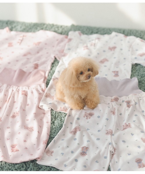 PEACH JOHN�i�s�[�`�E�W�����j�̃V���b�v�j���[�X�u�Q�₦���h���������t���A�ӂ����烏�b�t�����n�̐l�C�p�W���}�� �v