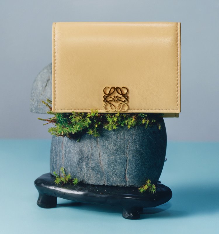 LOEWE】Spring Summer 2024 Wallets in ZOZOVILLA - ZOZOTOWN