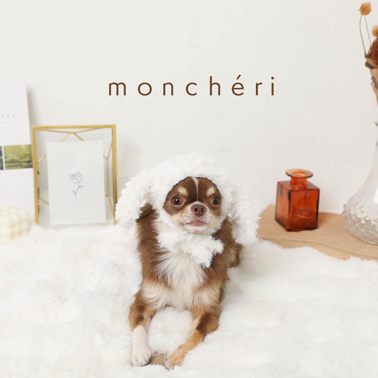 moredays store(モアデイズ・ストア)の「【moncheri】2026 AUTUMN / WINTER COLLECTION vol.2」