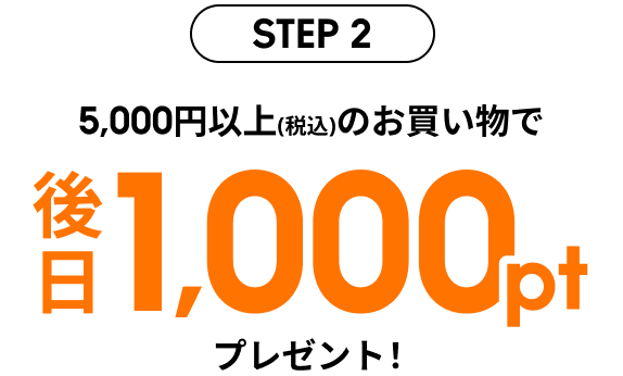 5,000円以上のお買い物で後日1,000ptプレゼント!