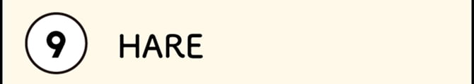 9 HARE